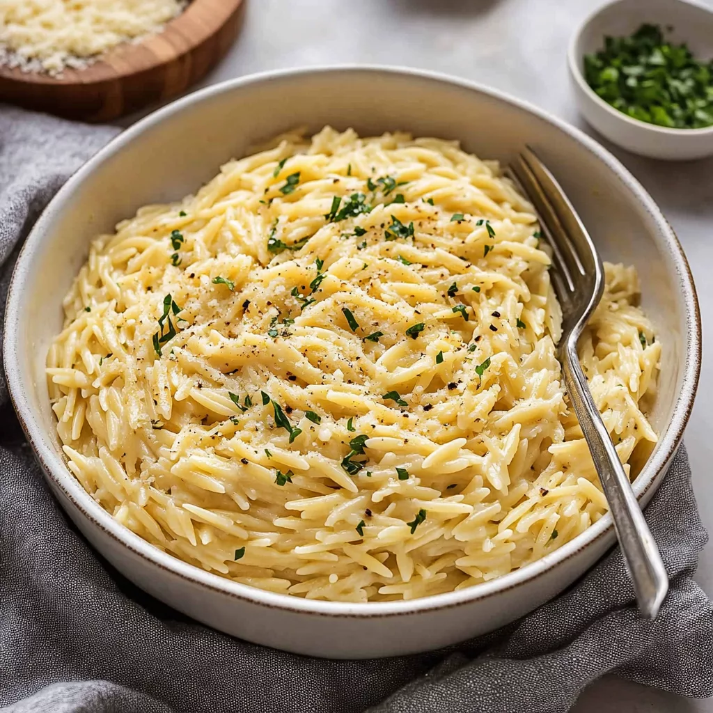 Garlic Parmesan Orzo Pasta